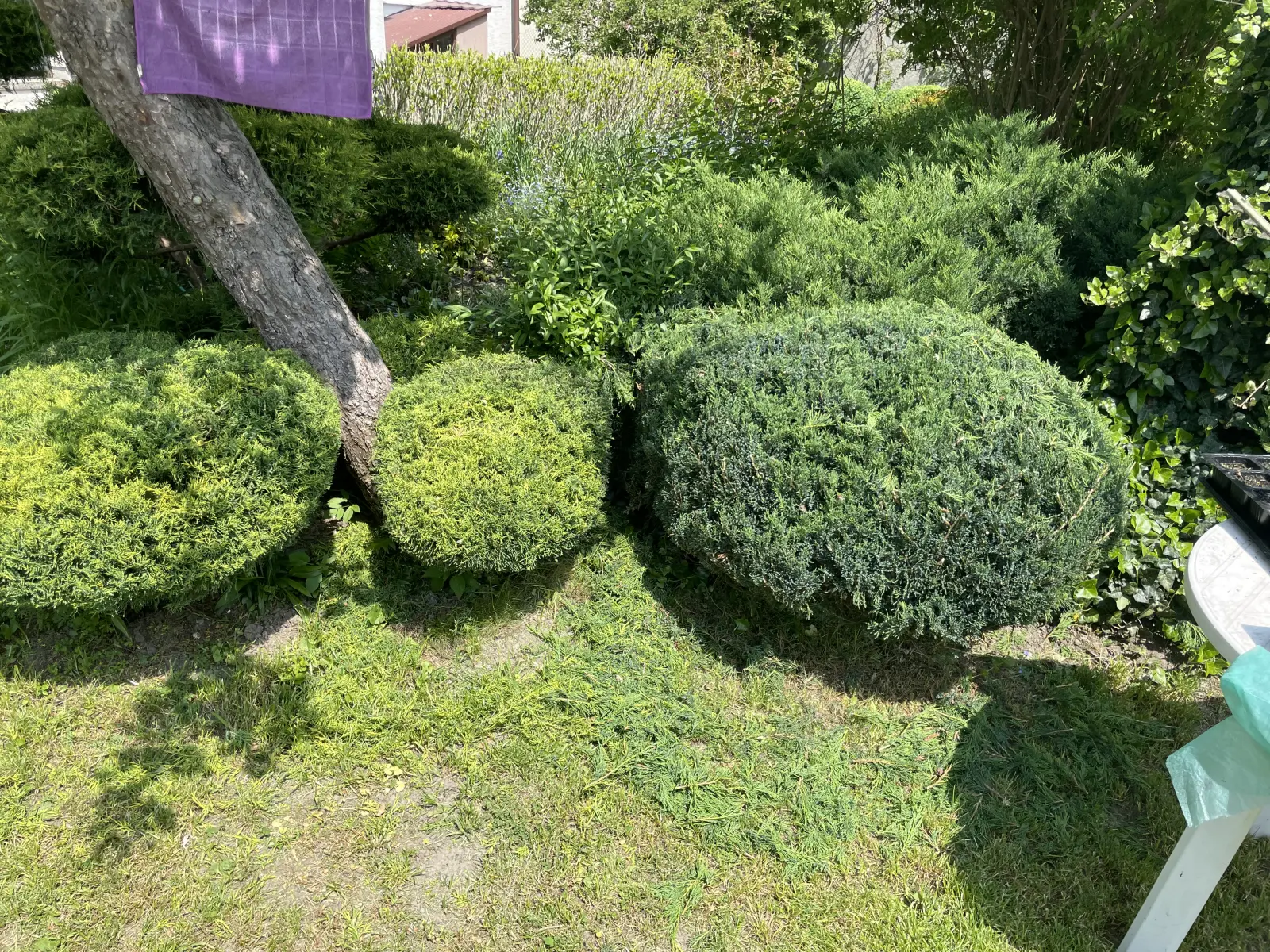 pielegnacja ogrodow dobra 1