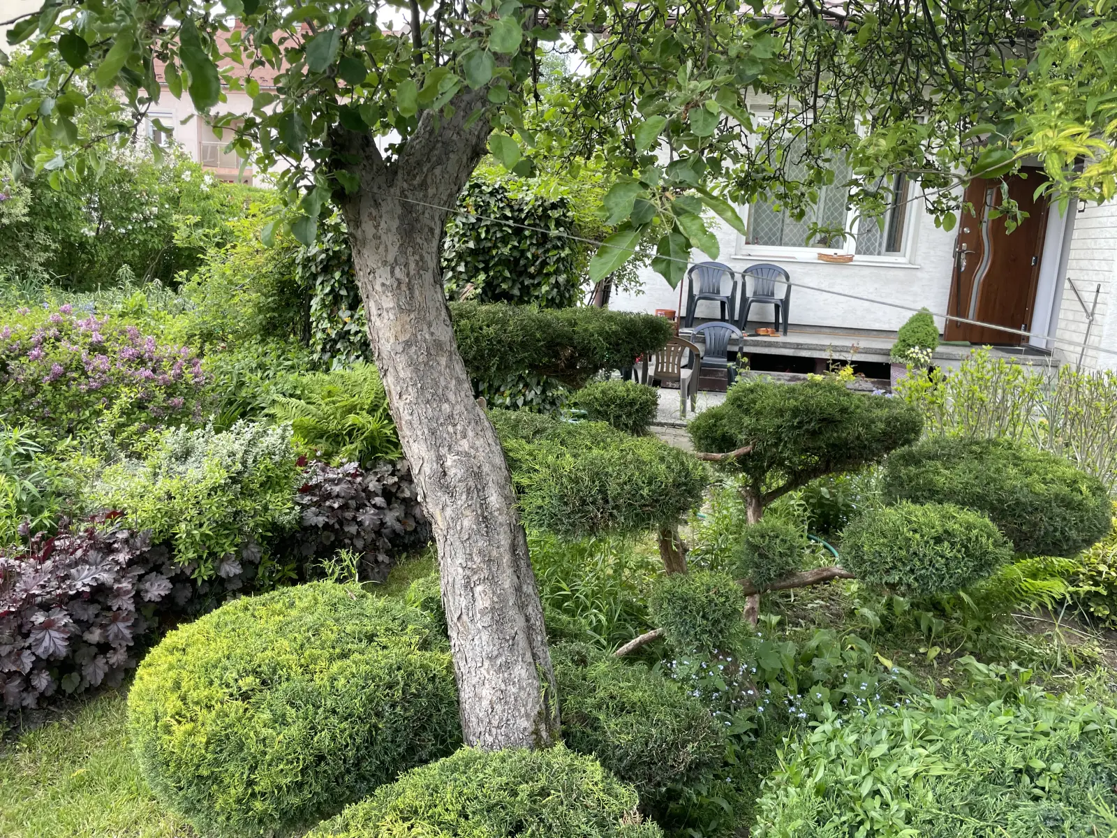 pielegnacja ogrodow dobra 4