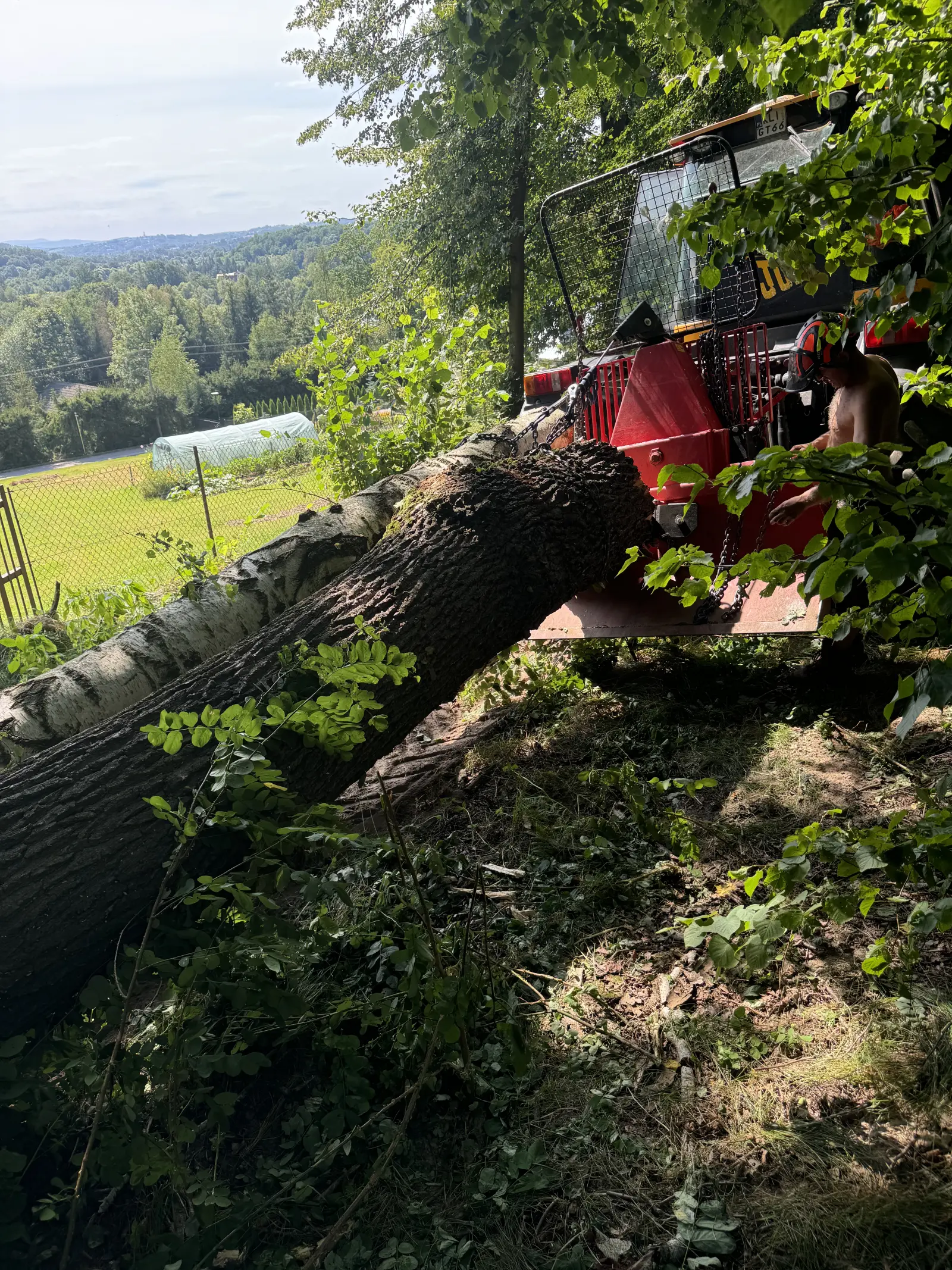 prace dla nadlesnictwa myslenice 1