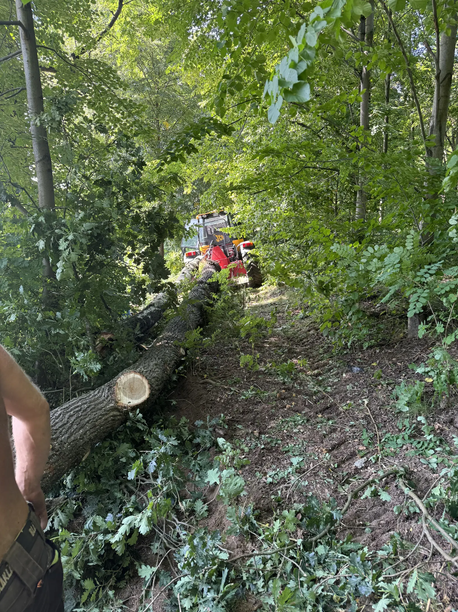 prace dla nadlesnictwa myslenice 2