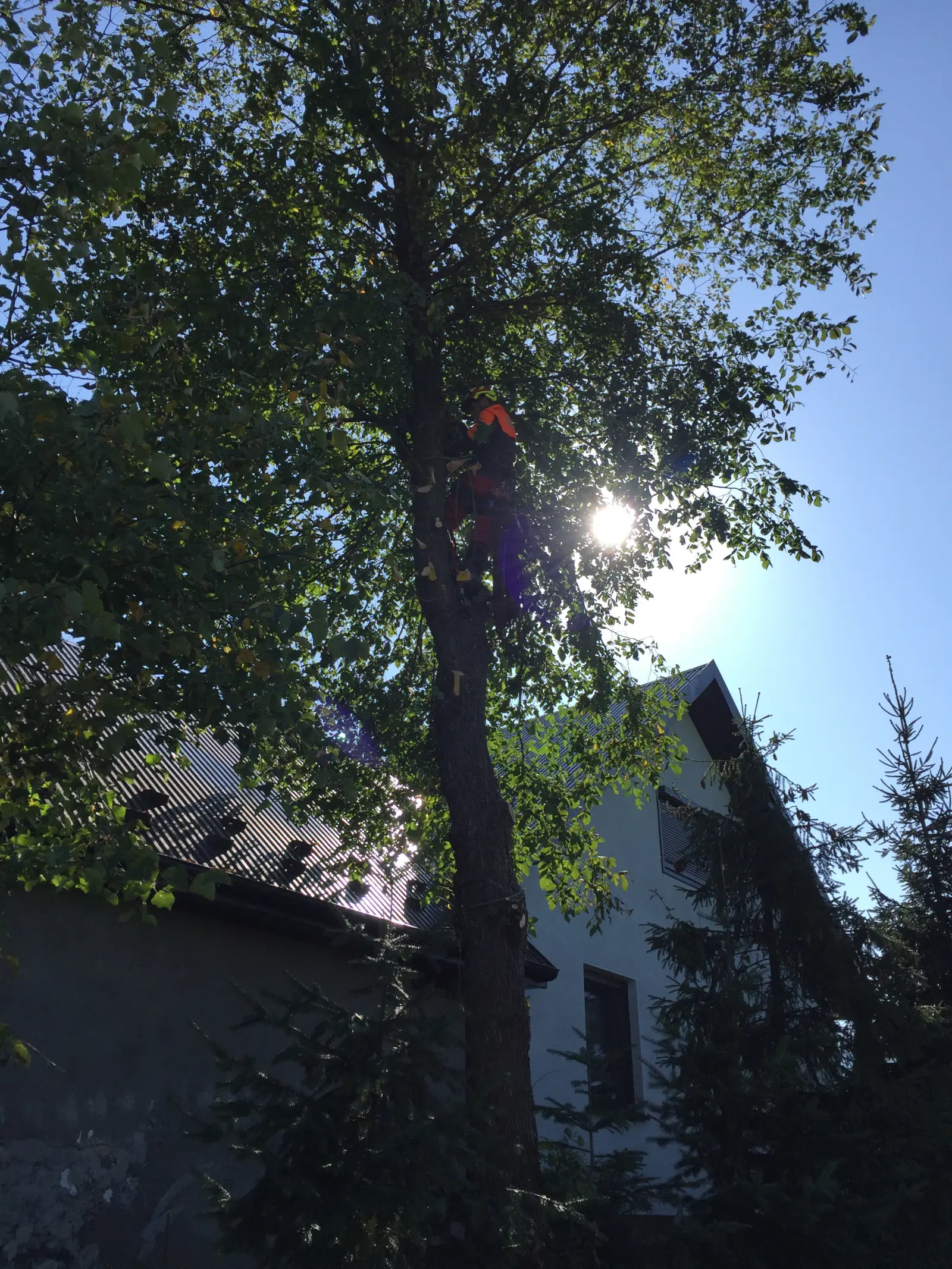 wycinka alpinistyczna dobra 8