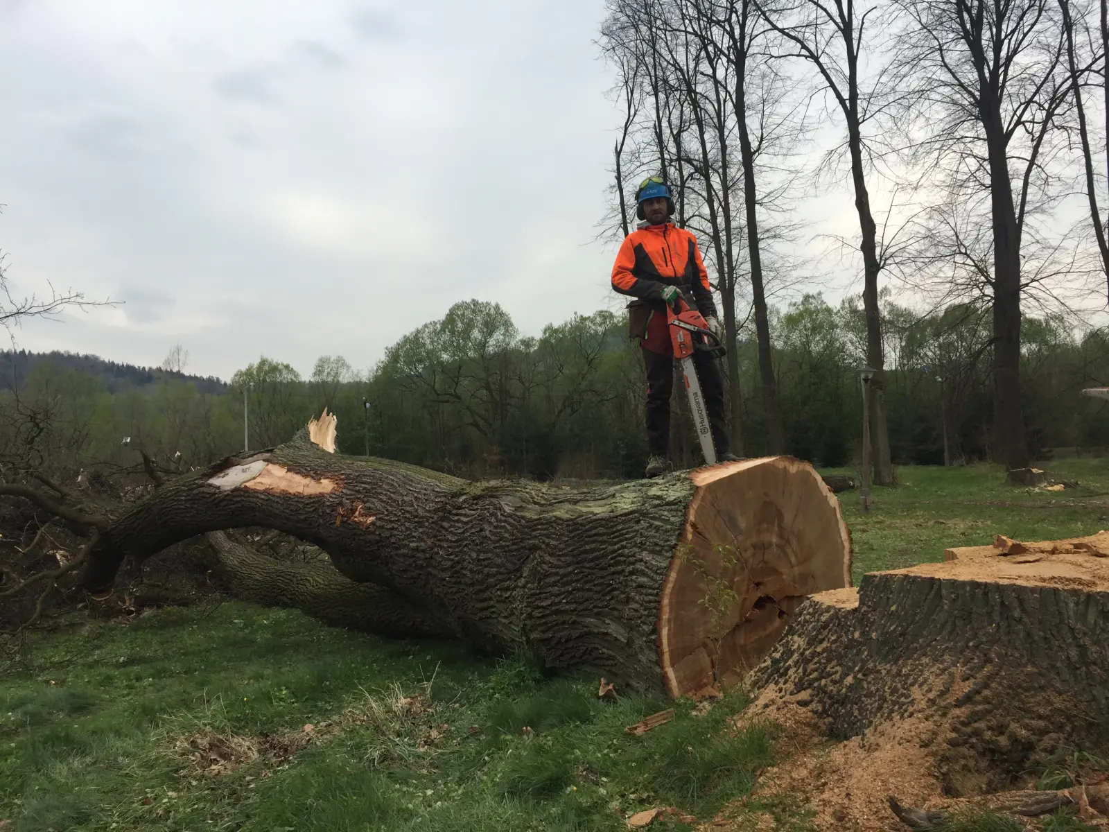 wycinka drzew trudnych pcim 6