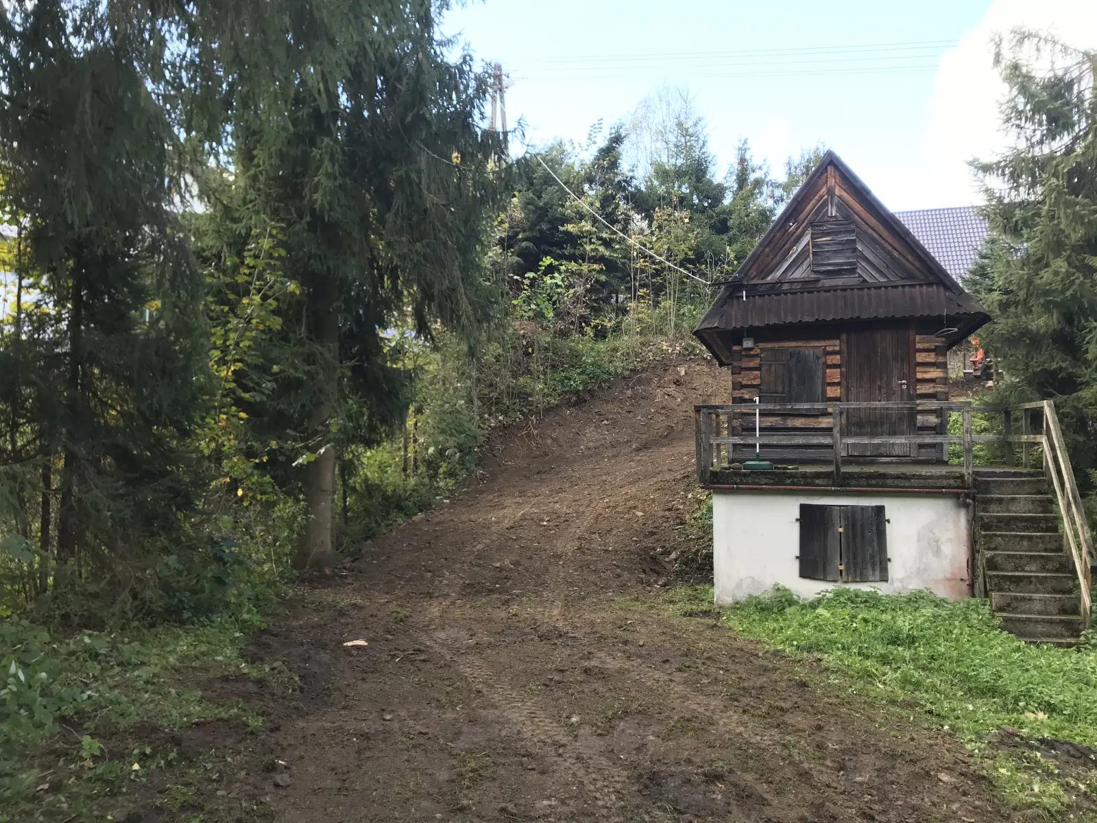 zabezpieczenie skarpy nasadzenia poreba wielka 2