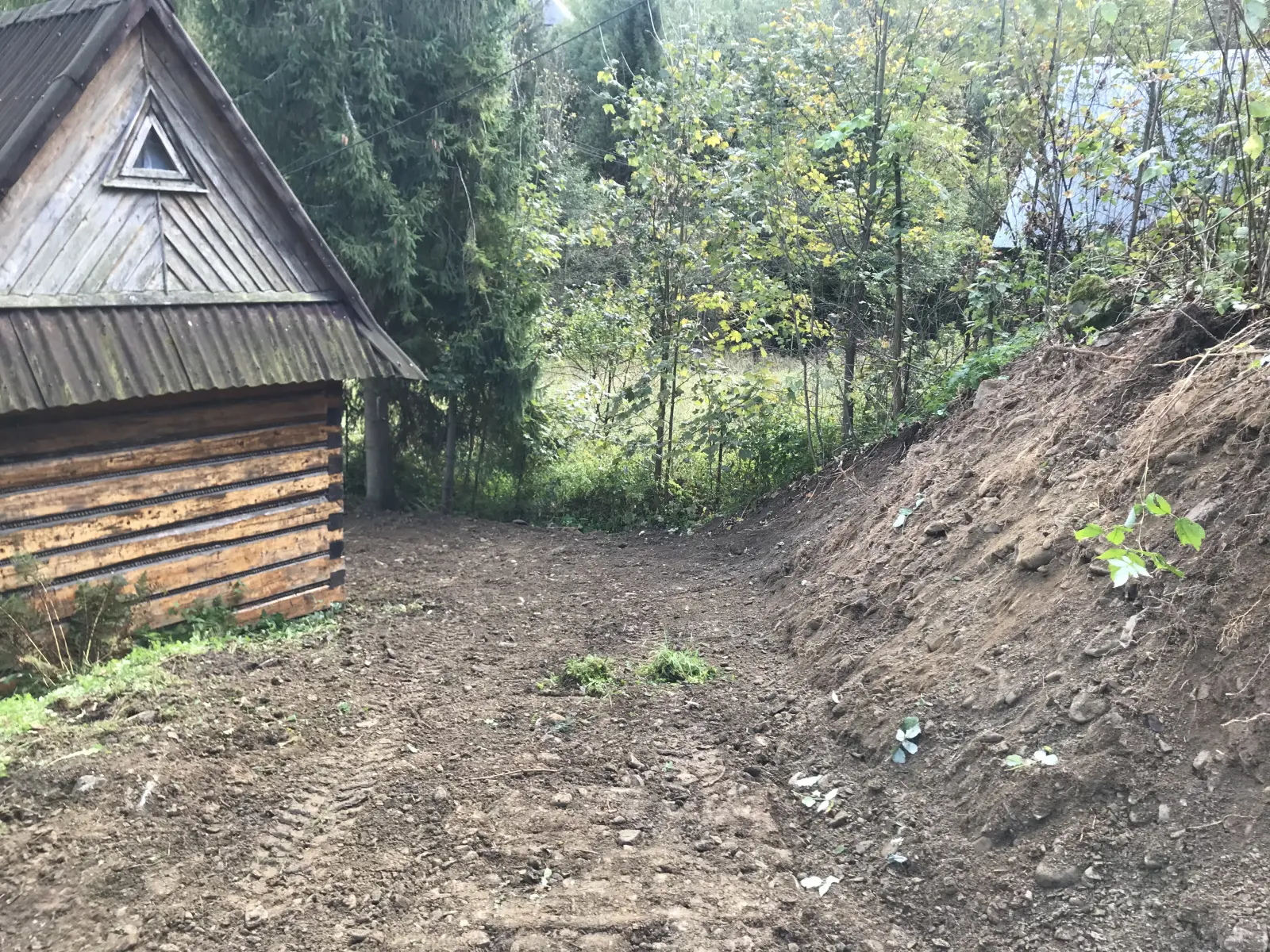 zabezpieczenie skarpy nasadzenia poreba wielka 3