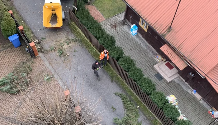 alpinistyczna wycinka krakow 3