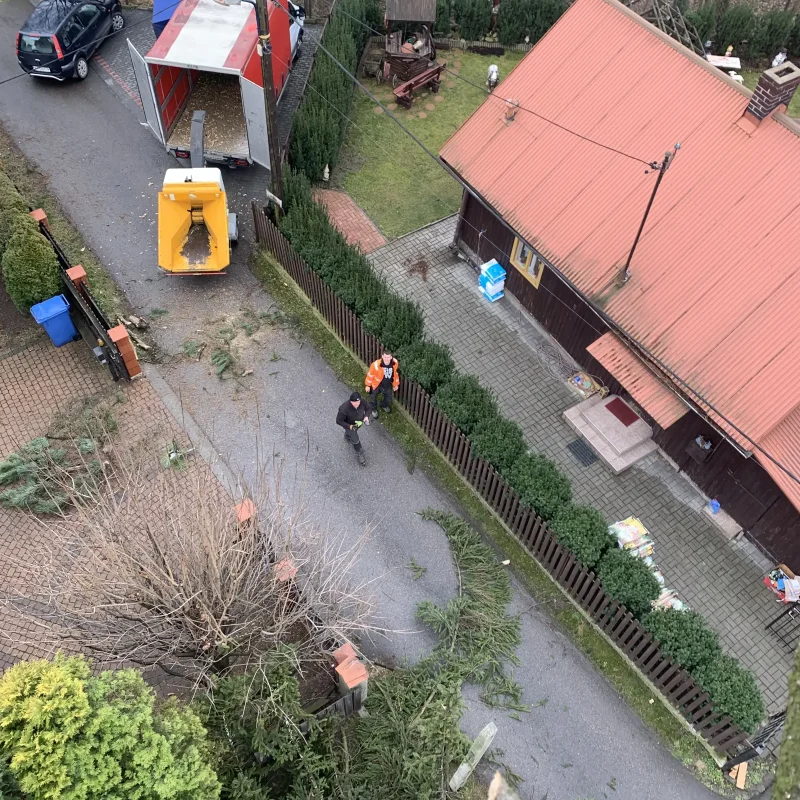 alpinistyczna wycinka krakow 3