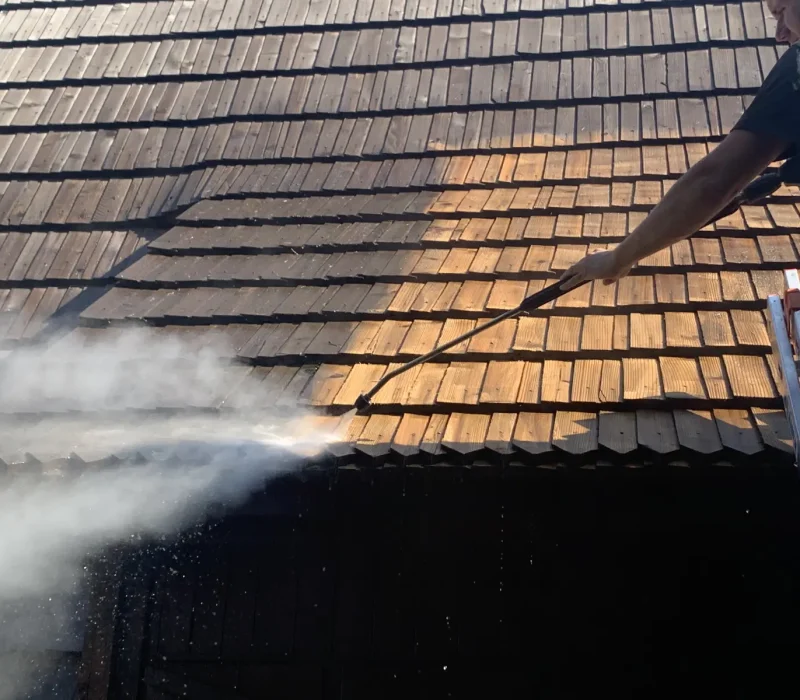 mycie konserwacja gontu konina 1