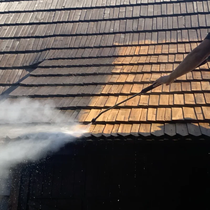 mycie konserwacja gontu konina 1