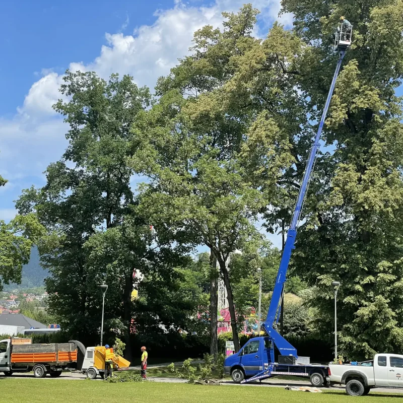 pielegnacja parku gmina mszana dolna 3