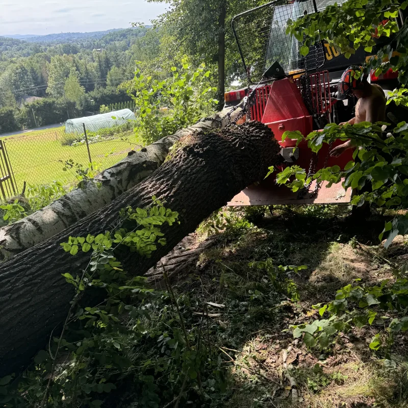 prace dla nadlesnictwa myslenice 1