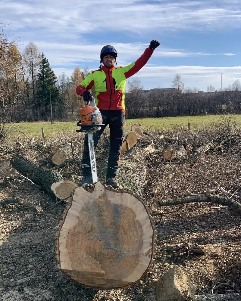 wycinka dla wody polskie nowy targ 1