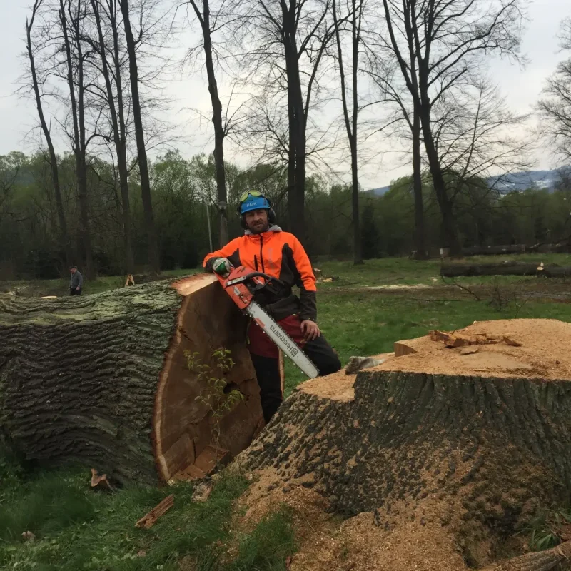 wycinka drzew trudnych pcim 3