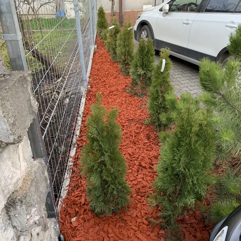 zagospodarowanie terenu tauron nowy targ 2