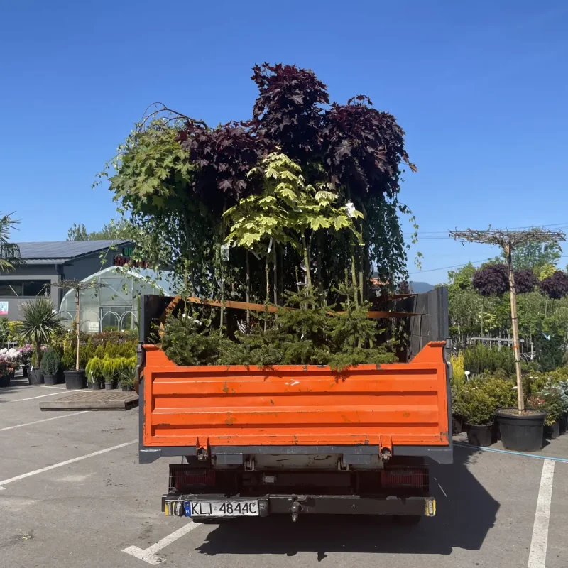 zakladanie ogrodu lipnica wielka 1